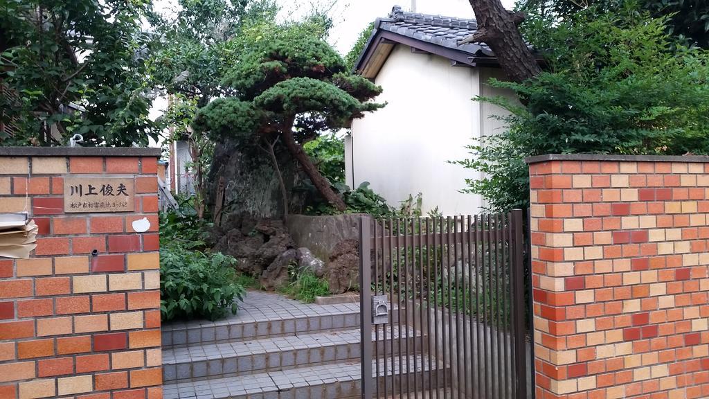 "Cherry House" Is Direct To Narita,Haneda Ap, Disney, Asakusa, Skytree Tower, Tokyo Matsudo Buitenkant foto