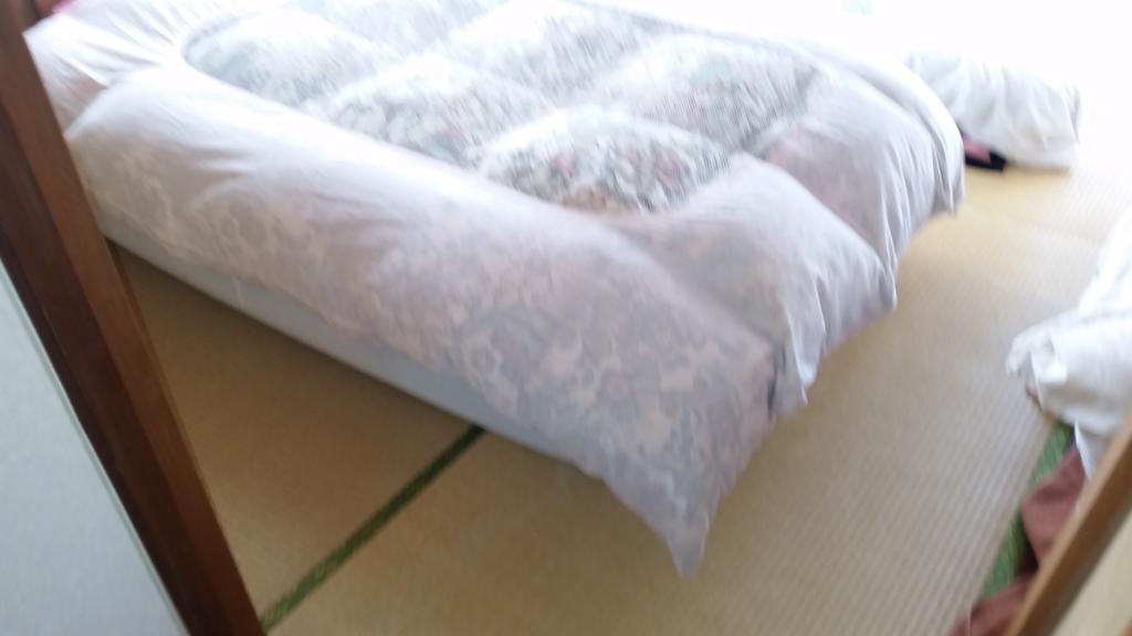 "Cherry House" Is Direct To Narita,Haneda Ap, Disney, Asakusa, Skytree Tower, Tokyo Matsudo Buitenkant foto