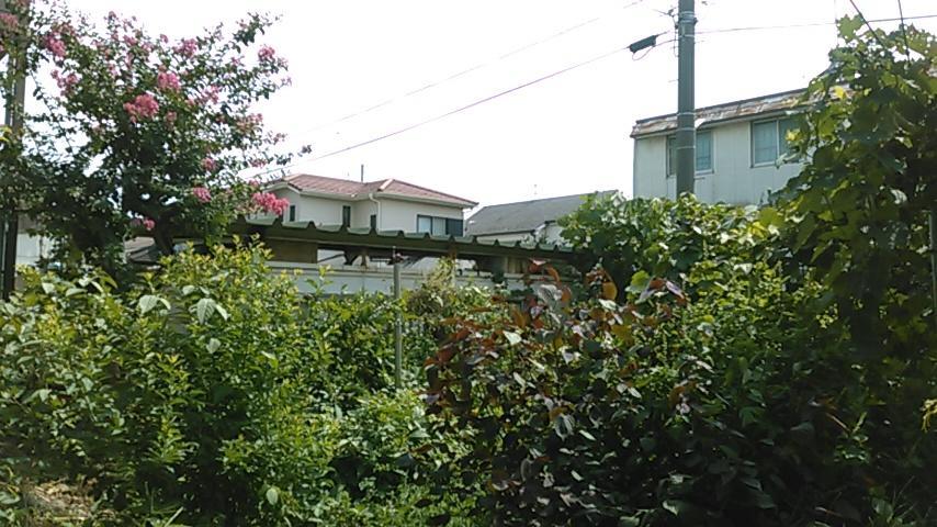 "Cherry House" Is Direct To Narita,Haneda Ap, Disney, Asakusa, Skytree Tower, Tokyo Matsudo Buitenkant foto
