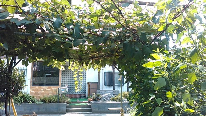 "Cherry House" Is Direct To Narita,Haneda Ap, Disney, Asakusa, Skytree Tower, Tokyo Matsudo Buitenkant foto